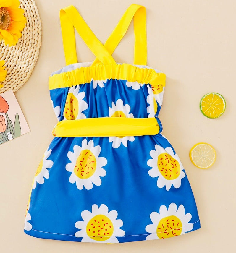 Girls Yellow and Blue Floral Dress