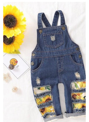 SunFlowers 🌻 Overall