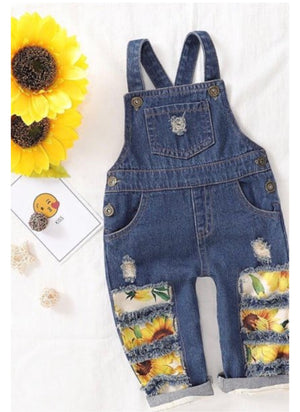 SunFlowers 🌻 Overall